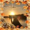 shirl2264